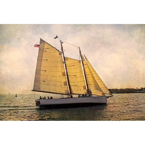 Morning Sail White Modern Wood Framed Art Print by Van Swearingen, Debra