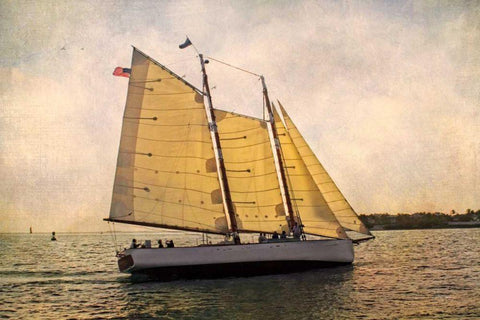 Morning Sail White Modern Wood Framed Art Print with Double Matting by Van Swearingen, Debra