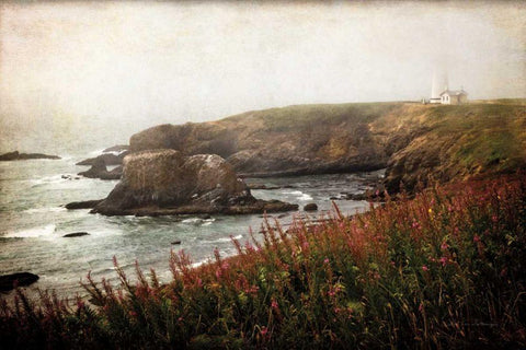 Coastal Mist Black Ornate Wood Framed Art Print with Double Matting by Van Swearingen, Debra