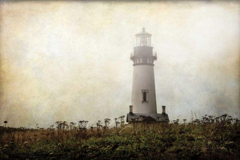 Lonely Lighthouse II Black Ornate Wood Framed Art Print with Double Matting by Van Swearingen, Debra