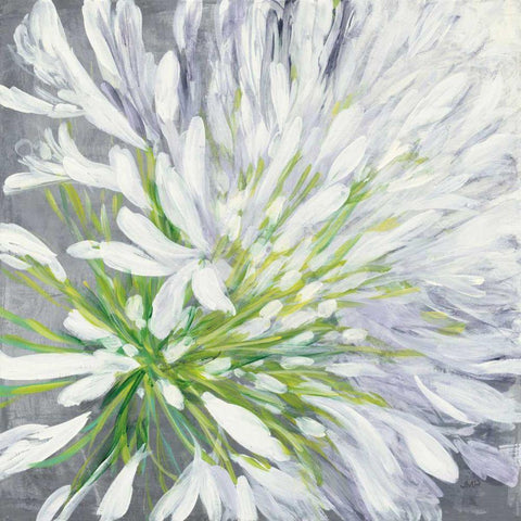 Cleome Splash II White Modern Wood Framed Art Print with Double Matting by Purinton, Julia