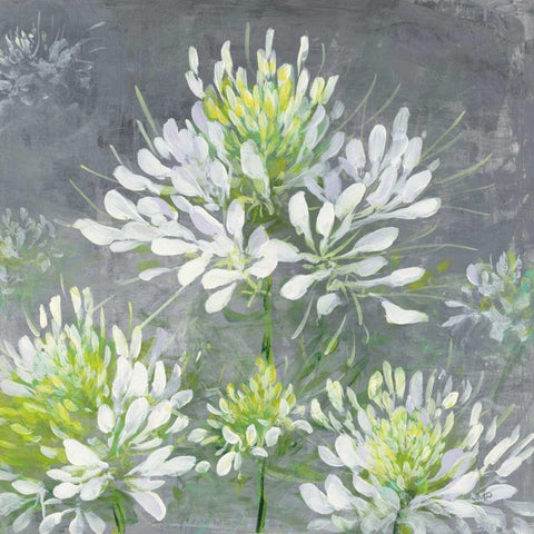 Farmhouse Cleome I White Modern Wood Framed Art Print by Purinton, Julia