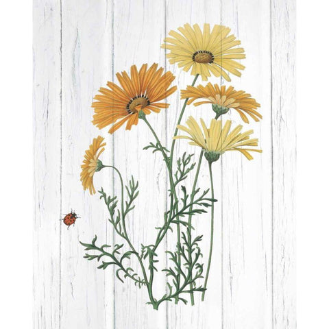 Botanical Bouquet on Wood I White Modern Wood Framed Art Print by Wild Apple Portfolio