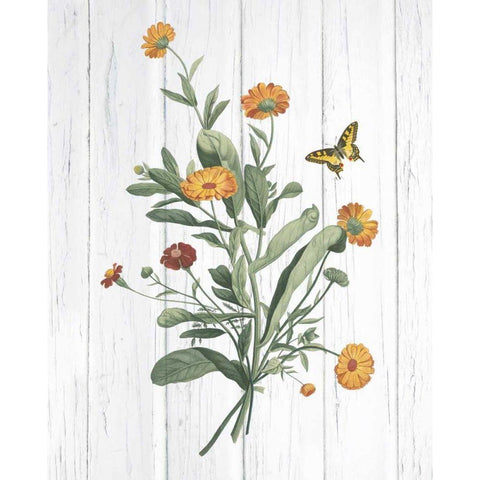 Botanical Bouquet on Wood IV Black Modern Wood Framed Art Print by Wild Apple Portfolio