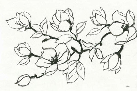 Flower Drawing Black Ornate Wood Framed Art Print with Double Matting by Hristova, Albena