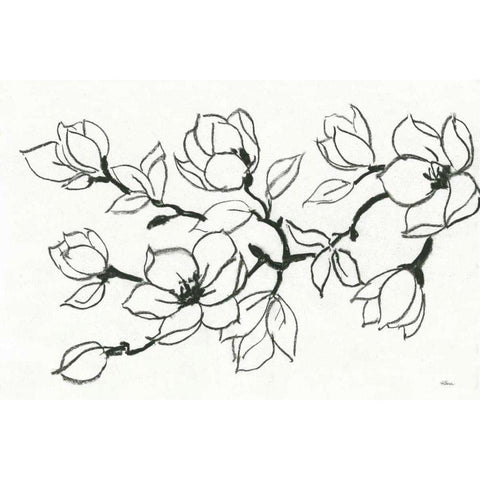 Flower Drawing Black Modern Wood Framed Art Print with Double Matting by Hristova, Albena