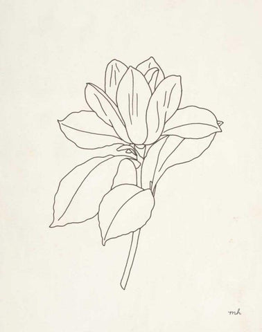 Magnolia Line Drawing Black Ornate Wood Framed Art Print with Double Matting by Hershey, Moira