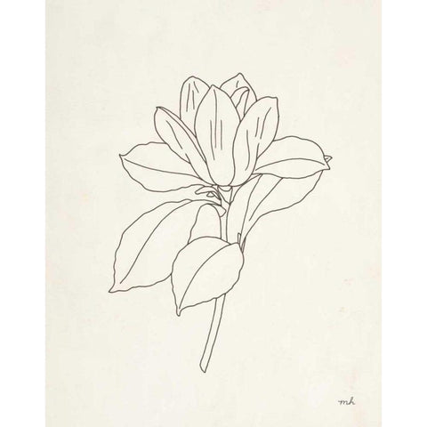Magnolia Line Drawing Black Modern Wood Framed Art Print by Hershey, Moira