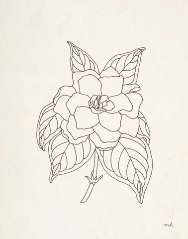 Gardenia Line Drawing Black Ornate Wood Framed Art Print with Double Matting by Hershey, Moira