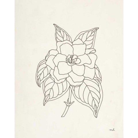 Gardenia Line Drawing Black Modern Wood Framed Art Print by Hershey, Moira
