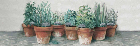 Pots of Herbs II Cottage v2 Black Ornate Wood Framed Art Print with Double Matting by Rowan, Carol