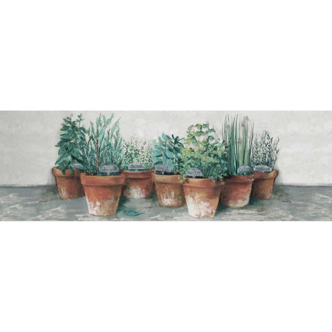 Pots of Herbs II Cottage v2 White Modern Wood Framed Art Print by Rowan, Carol