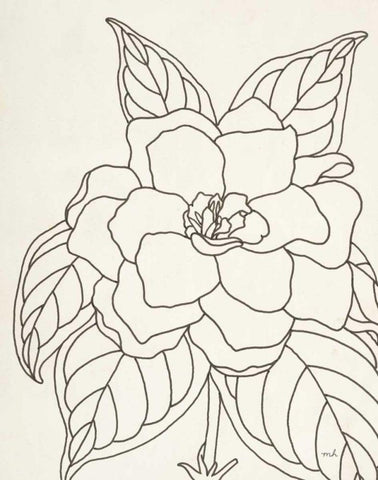 Gardenia Line Drawing Crop White Modern Wood Framed Art Print with Double Matting by Hershey, Moira