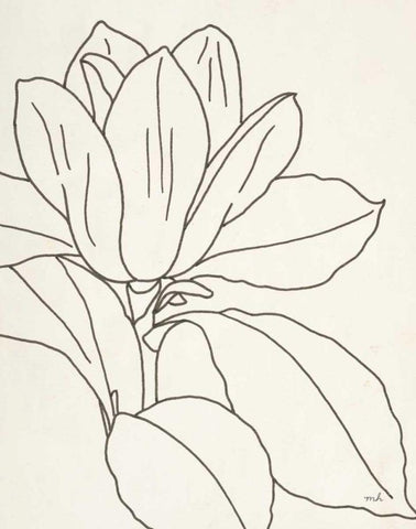 Magnolia Line Drawing v2 Crop Black Ornate Wood Framed Art Print with Double Matting by Hershey, Moira