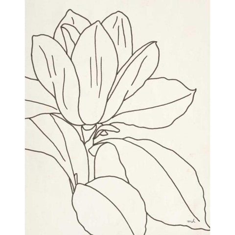Magnolia Line Drawing v2 Crop Black Modern Wood Framed Art Print by Hershey, Moira