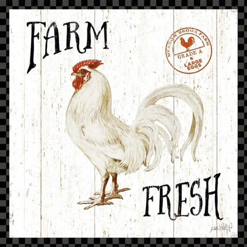 Free Range Fresh III Checker Border Black Ornate Wood Framed Art Print with Double Matting by Pertiet, Katie