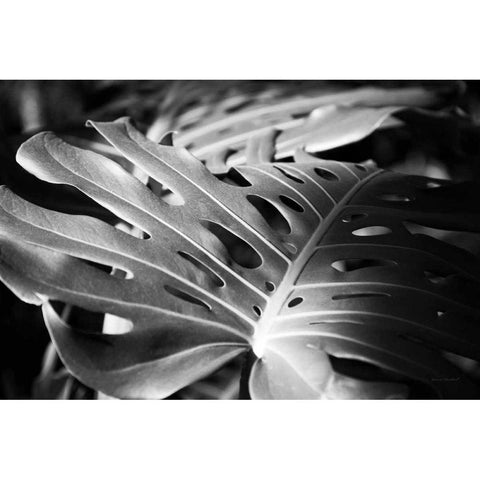 Philodendron Gold Ornate Wood Framed Art Print with Double Matting by Marshall, Laura