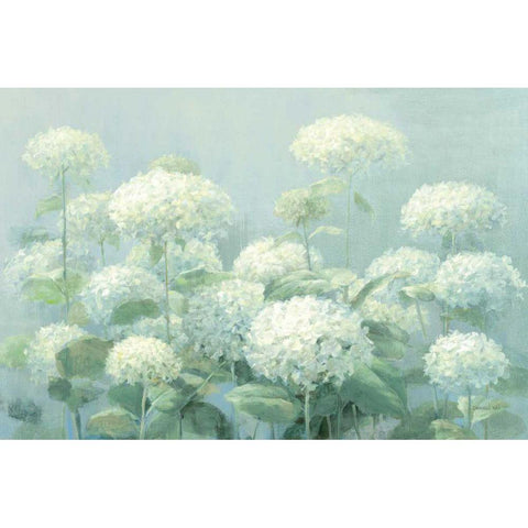 White Hydrangea Garden Sage Crop Black Modern Wood Framed Art Print with Double Matting by Nai, Danhui