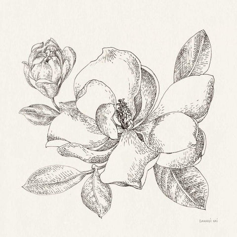 Flower Sketches II White Modern Wood Framed Art Print by Nai, Danhui