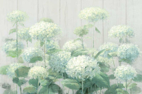 White Hydrangea Garden Sage on Wood Crop White Modern Wood Framed Art Print with Double Matting by Nai, Danhui