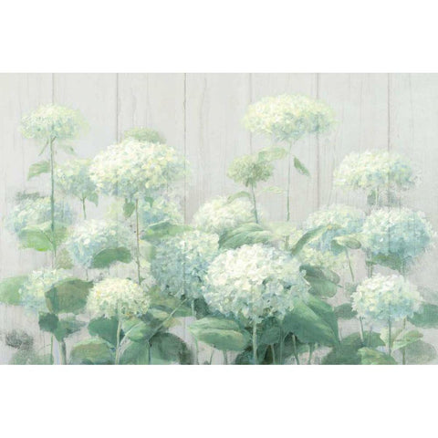 White Hydrangea Garden Sage on Wood Crop Black Modern Wood Framed Art Print with Double Matting by Nai, Danhui