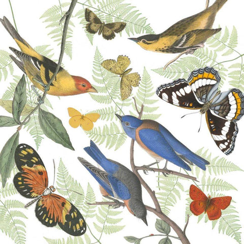 Natures Flight I White Modern Wood Framed Art Print by Wild Apple Portfolio