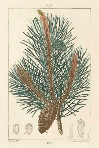 Pin Drawing White Modern Wood Framed Art Print with Double Matting by Wild Apple Portfolio