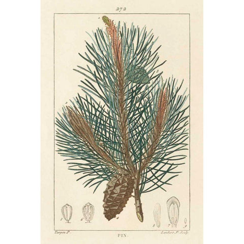 Pin Drawing Black Modern Wood Framed Art Print by Wild Apple Portfolio