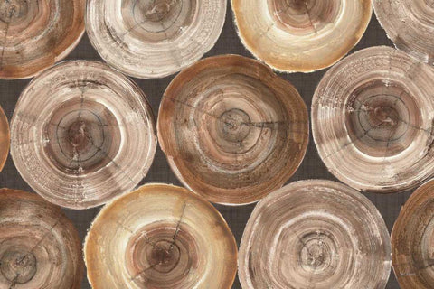 Rings of Life I White Modern Wood Framed Art Print with Double Matting by Hristova, Albena