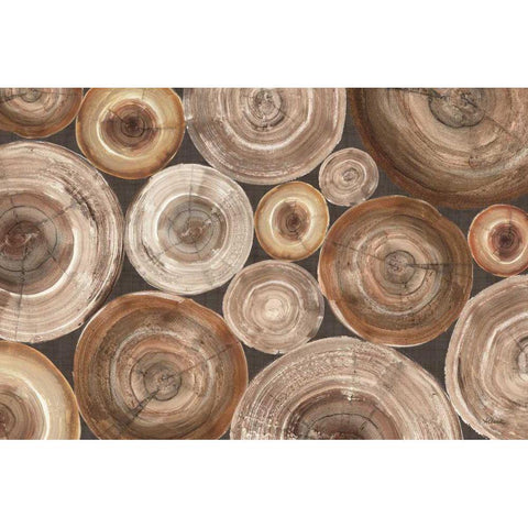 Rings of Life II White Modern Wood Framed Art Print by Hristova, Albena