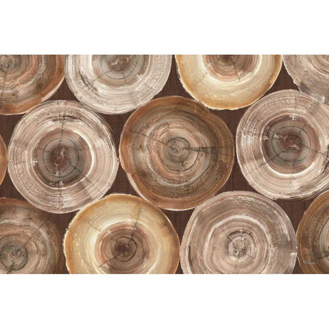 Rings of Life I Brown White Modern Wood Framed Art Print by Hristova, Albena