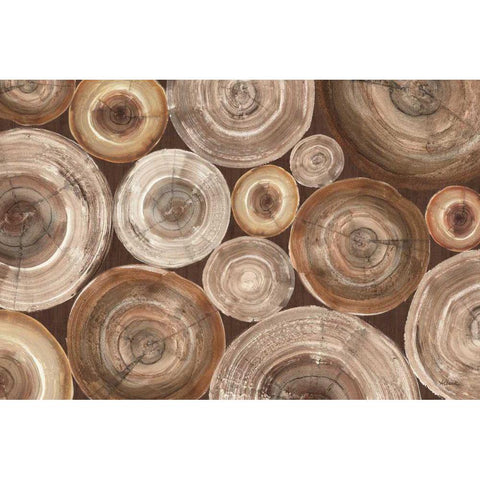 Rings of Life II Brown White Modern Wood Framed Art Print by Hristova, Albena