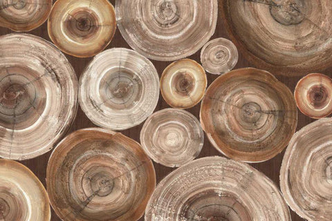 Rings of Life II Brown White Modern Wood Framed Art Print with Double Matting by Hristova, Albena