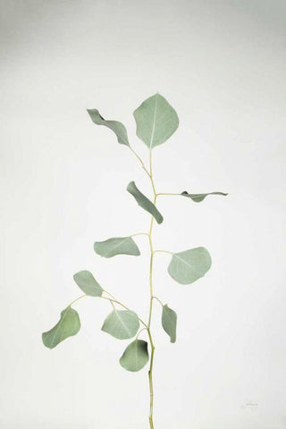 Simple Stems I White Modern Wood Framed Art Print with Double Matting by Bradley, Felicity