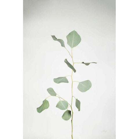Simple Stems I Black Modern Wood Framed Art Print by Bradley, Felicity