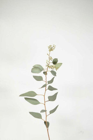 Simple Stems II White Modern Wood Framed Art Print with Double Matting by Bradley, Felicity