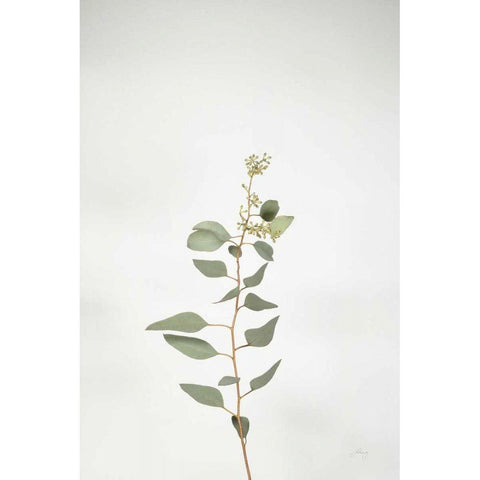 Simple Stems II Black Modern Wood Framed Art Print with Double Matting by Bradley, Felicity