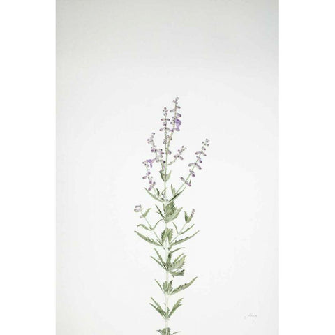 Simple Stems III Black Modern Wood Framed Art Print by Bradley, Felicity