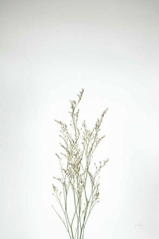 Simple Stems V Black Ornate Wood Framed Art Print with Double Matting by Bradley, Felicity