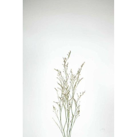 Simple Stems V Gold Ornate Wood Framed Art Print with Double Matting by Bradley, Felicity