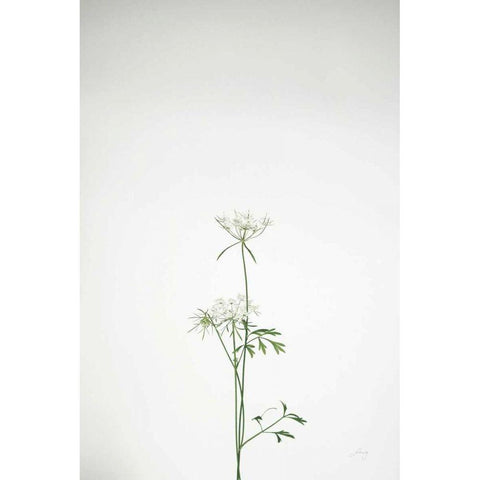 Simple Stems VI Gold Ornate Wood Framed Art Print with Double Matting by Bradley, Felicity