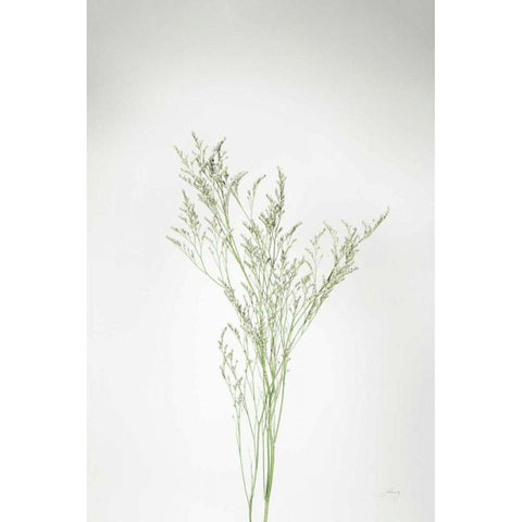 Simple Stems VII Gold Ornate Wood Framed Art Print with Double Matting by Bradley, Felicity