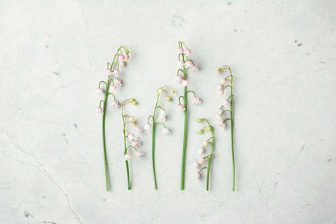 May Bell Blooms White Modern Wood Framed Art Print with Double Matting by Bradley, Felicity