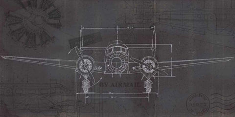 Plane Blueprint IV Wings Black Ornate Wood Framed Art Print with Double Matting by Fabiano, Marco