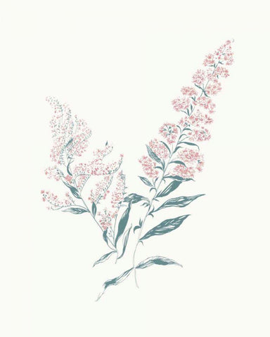 Flowers on White I Contemporary Bright Black Ornate Wood Framed Art Print with Double Matting by Wild Apple Portfolio