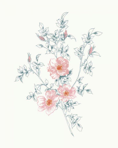 Flowers on White II Contemporary Bright Black Ornate Wood Framed Art Print with Double Matting by Wild Apple Portfolio