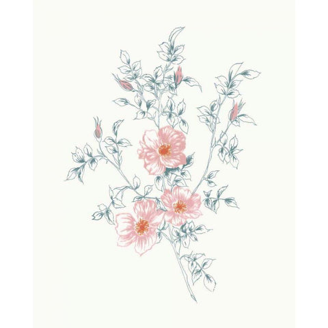 Flowers on White II Contemporary Bright Black Modern Wood Framed Art Print with Double Matting by Wild Apple Portfolio