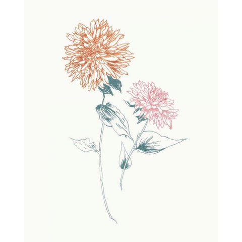 Flowers on White IV Contemporary Bright White Modern Wood Framed Art Print by Wild Apple Portfolio