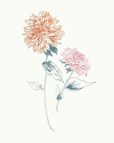 Flowers on White IV Contemporary Bright Black Ornate Wood Framed Art Print with Double Matting by Wild Apple Portfolio