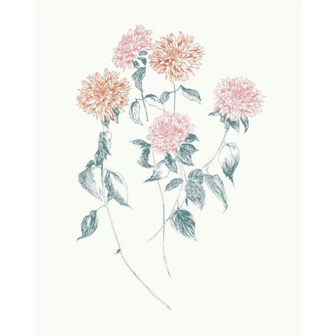 Flowers on White VI Contemporary Bright Gold Ornate Wood Framed Art Print with Double Matting by Wild Apple Portfolio